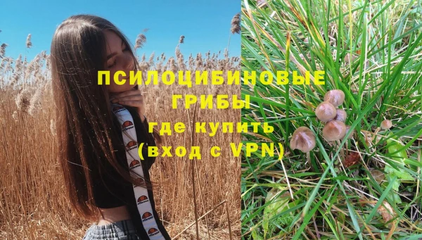прущая мука Бронницы