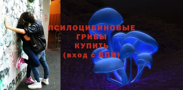 ALPHA-PVP Бородино