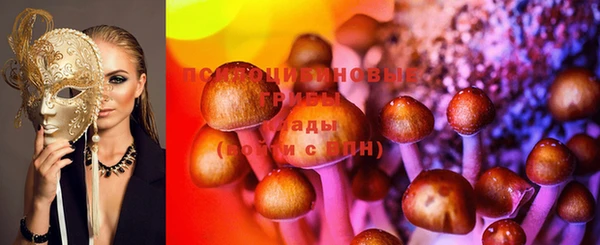 прущая мука Бронницы