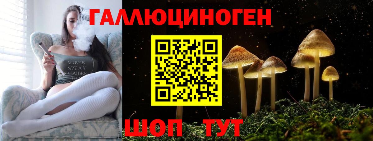 Галлюциногенные грибы мухоморы  Вход с VPN  Можайск  Псилоцибиновые грибы GOLDEN TEACHER 