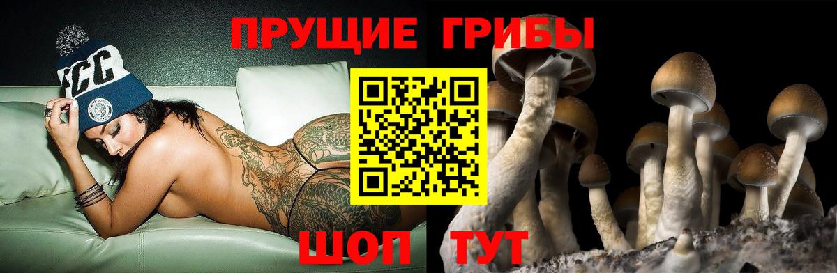Псилоцибиновые грибы мицелий Можайск