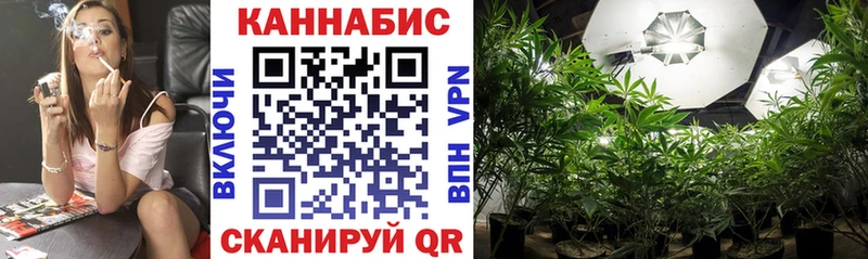 даркнет какой сайт  Можайск  Бошки Шишки ГИДРОПОН 